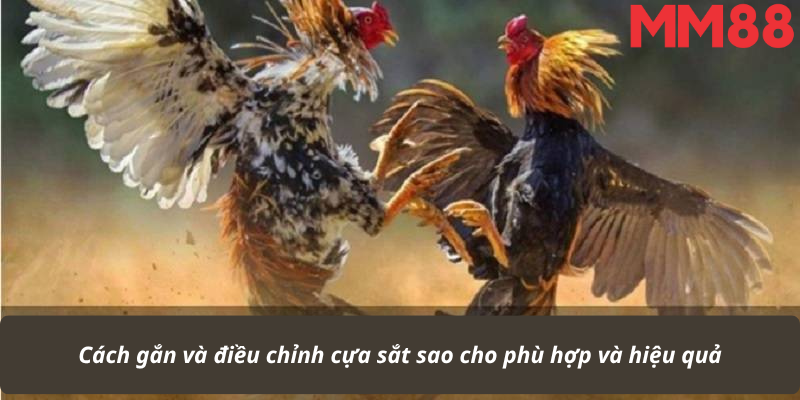 Cách gắn và điều chỉnh cựa sắt sao cho phù hợp và hiệu quả