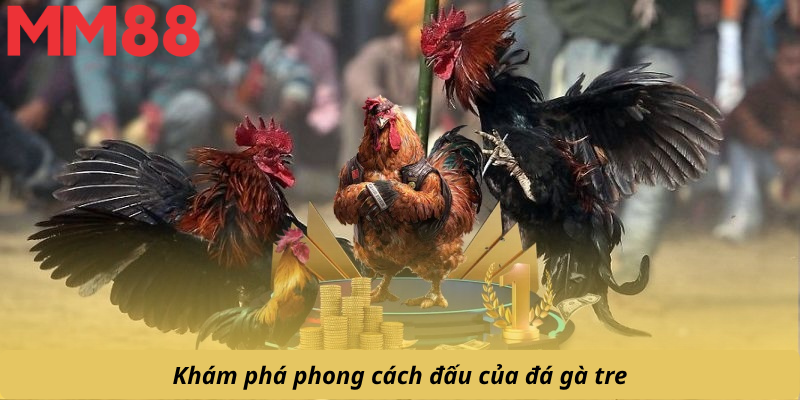 Khám phá phong cách đấu của đá gà tre