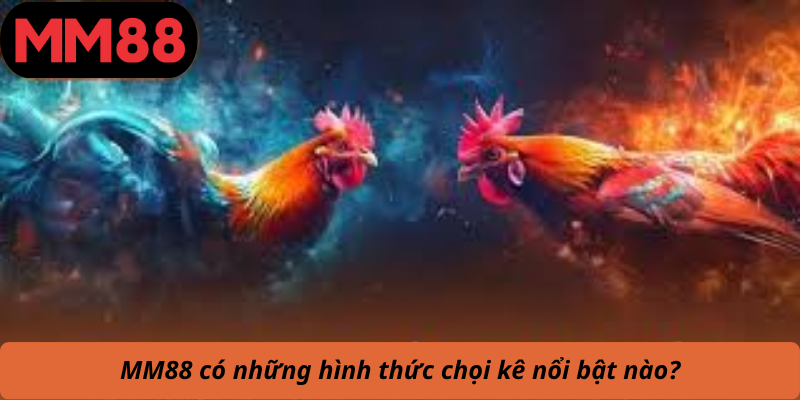 MM88 có những hình thức chọi kê nổi bật nào?